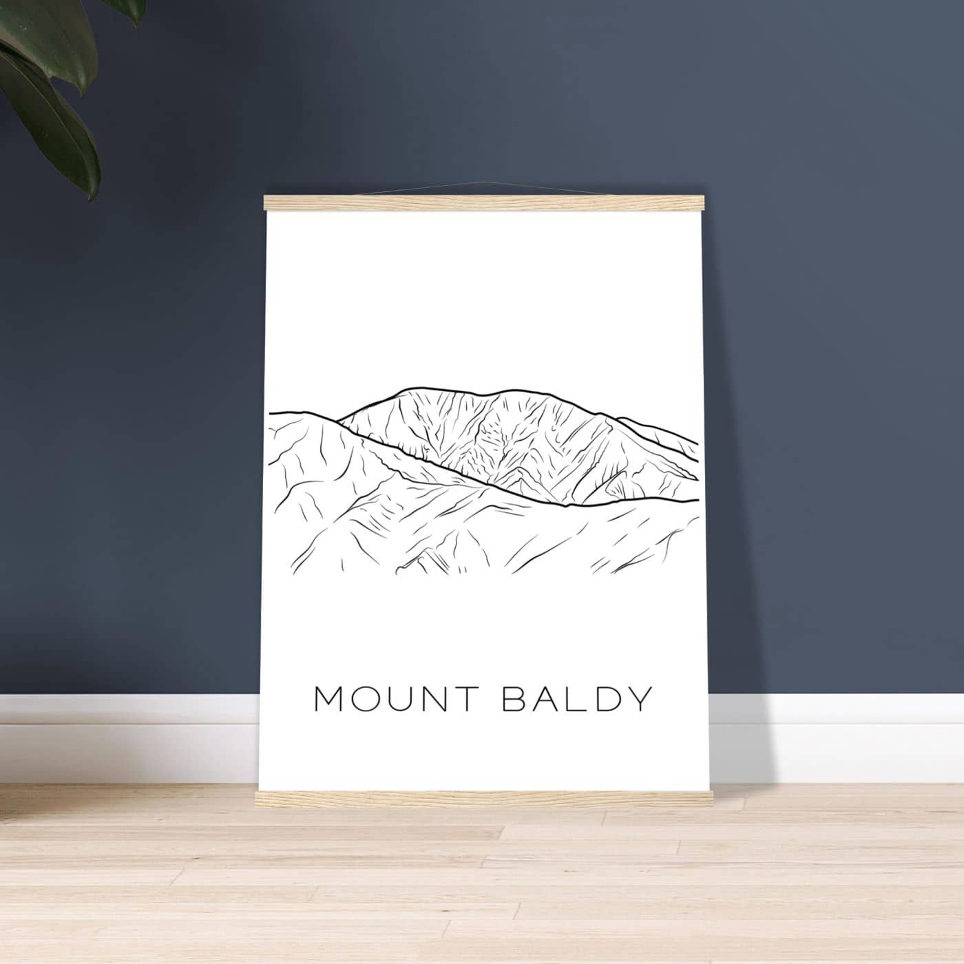 Mount Baldy - Black & White