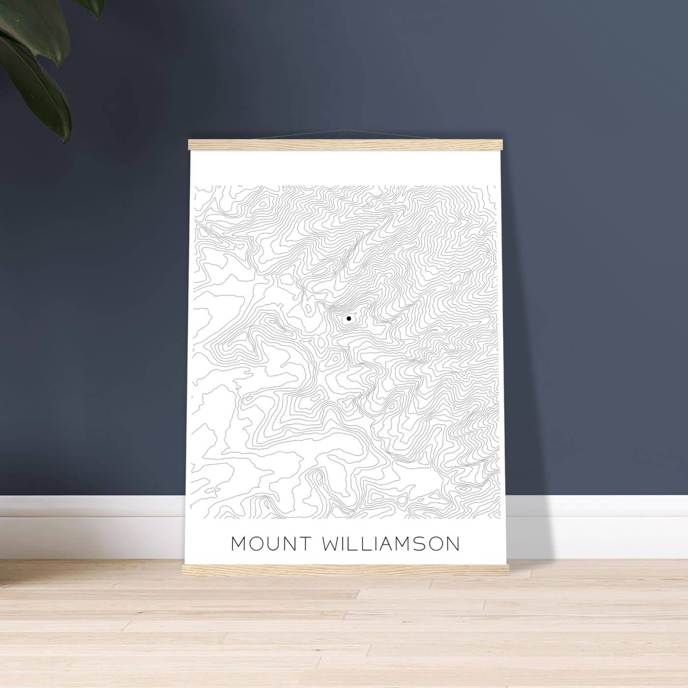 Mount Williamson - Contour Lines