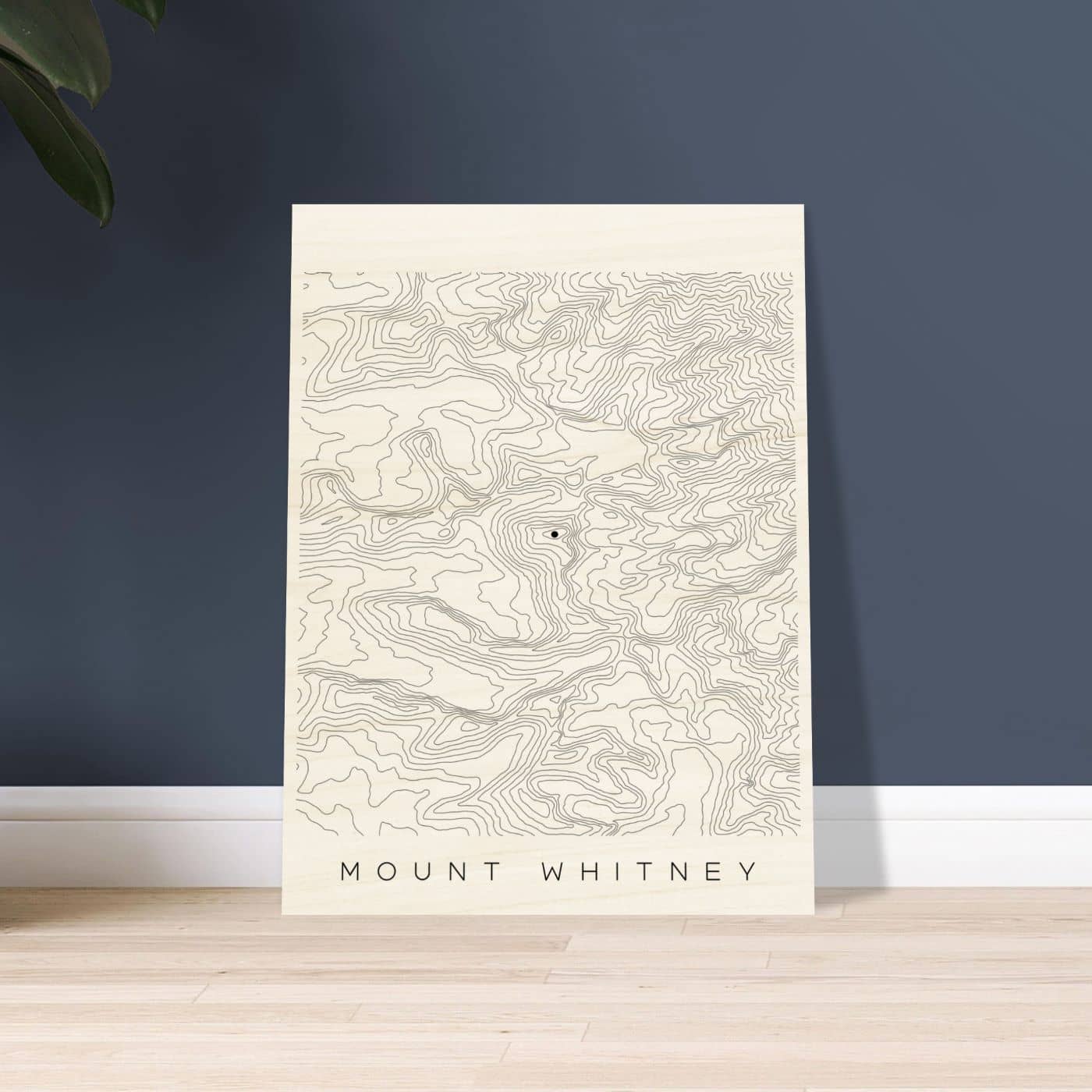 Mount Whitney - Black Lines