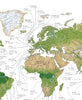 The World Surf Map