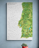 The Portuguese Surf Map