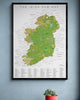 The Irish Pub Map