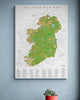 The Irish Pub Map