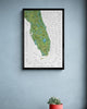 The Florida Surf Map
