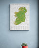 The Irish History Map